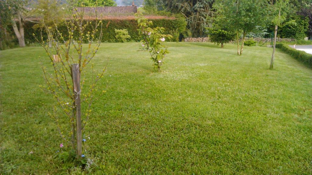 Gite Et Chambres D'Hotes Gandelain 外观 照片